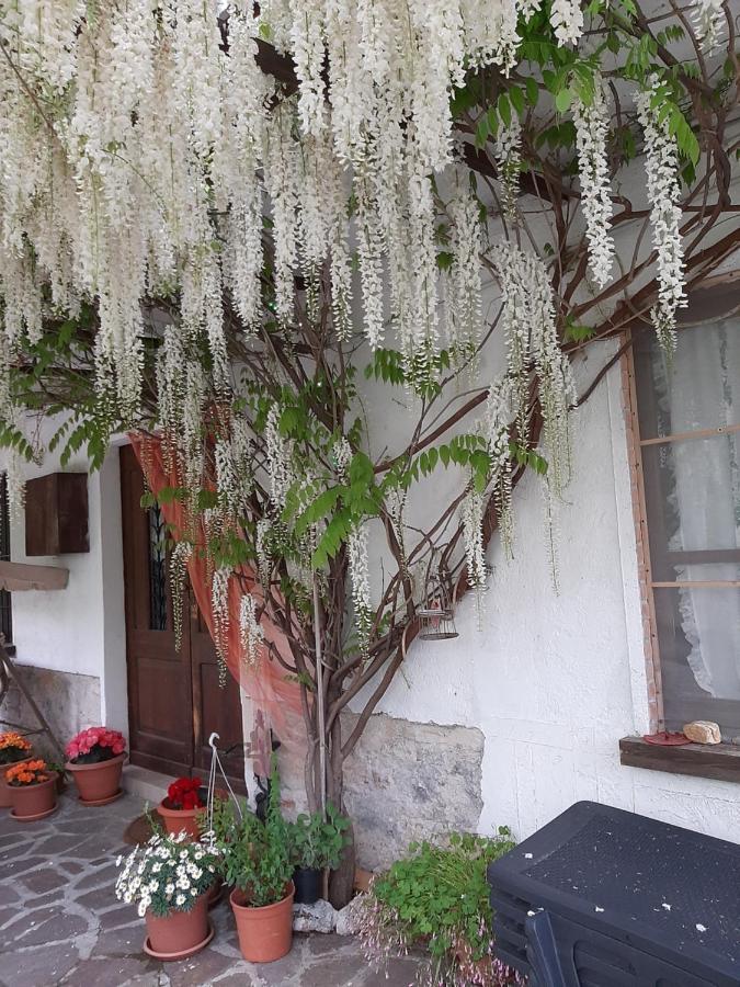 Della Rocca Holiday home *