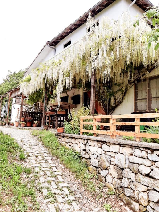 Della Rocca Holiday home *